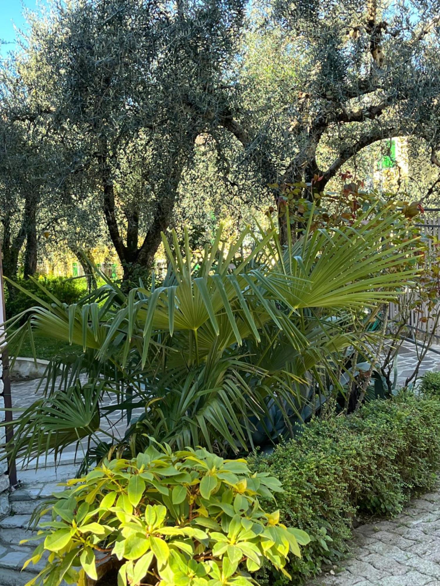 Appartamento Casa Noario Malcesine Esterno foto