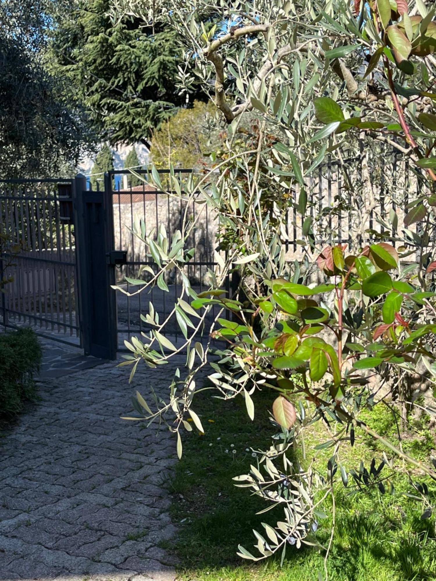 Appartamento Casa Noario Malcesine Esterno foto